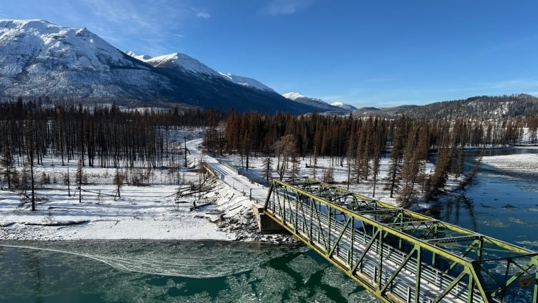 A view overlooking a Jasper forest from Old Fort Point lookout