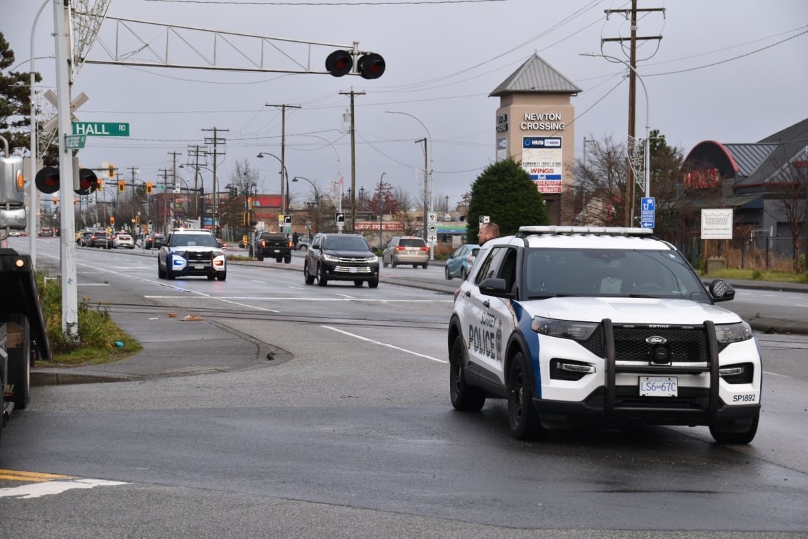 Police vehicles are seen on a large road, with strip malls visible in the background.