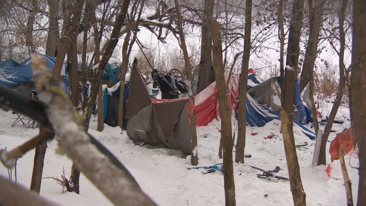 Snow-covered tents and tarps are seen in a forested area in winter.