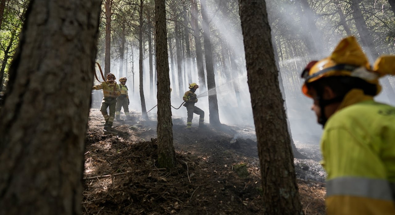 default-292 Firefighters spray water from hoses in a forest. Smoke surrounds them.